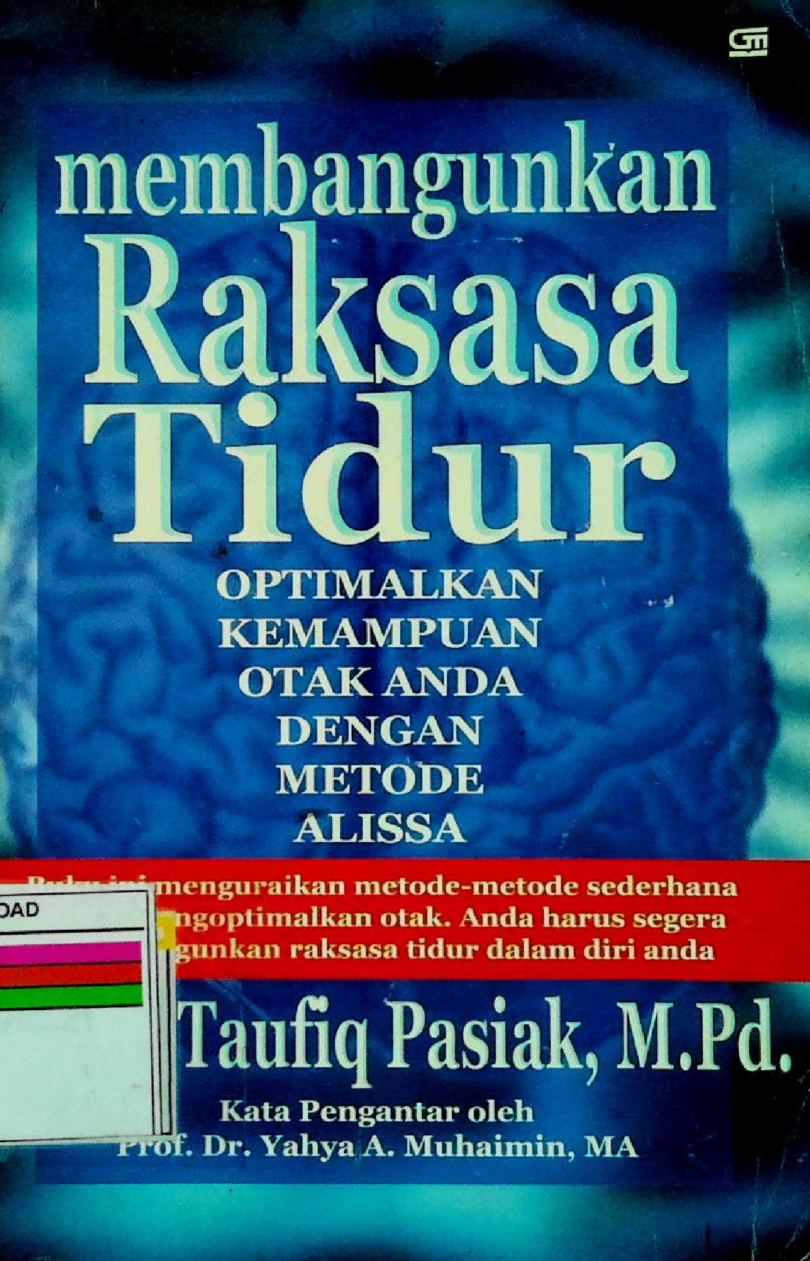 Membangunkan Raksasa Tidur Optimalkan Kemampuan Otak Anda Dengan Metode Alissa